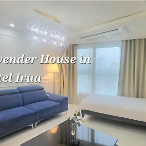 Haeundae Lavender House-irua South Korea